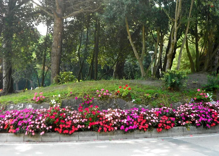 Corallo Apartament